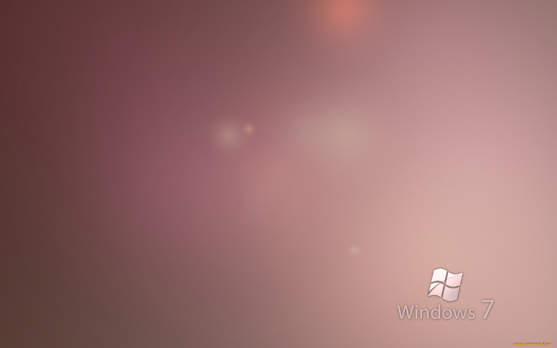 , windows, vienna, , 